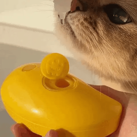 VaporBrush™🐱🐶 -  CEPILLO A VAPOR PARA MASCOTAS